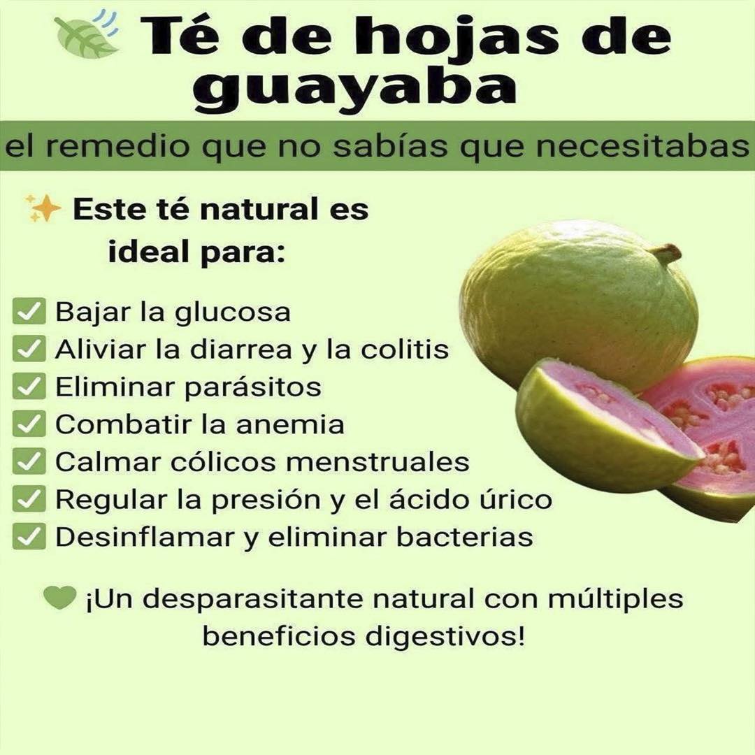 Té de hojas de guayaba