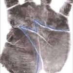 ¿Qué Significa Tener la Letra M en la Mano? Interpretaciones y Curiosidades