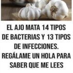 El Poder del Ajo: Remedios Naturales y Sus Beneficios para la Salud