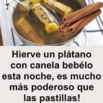 Descubre los Beneficios de Beber Plátano con Canela: Un Remedio Natural Poderoso