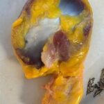 Molleja de Pollo: Un Delicioso Secreto Nutricional