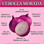 Beneficios de la Cebolla Morada: Salud y Recetas Caseras para tu Bienestar