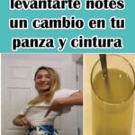 Dos Ingredientes para Reducir la Grasa Abdominal Eficazmente