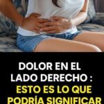 Dolor en el Lado Derecho del Abdomen: Causas y Remedios Naturales
