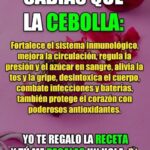 Los Sorprendentes Beneficios de la Cebolla para Tu Salud
