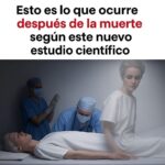 Lo Que Ocurre Después de la Muerte: Revelaciones Científicas