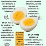 Los Beneficios de los Huevos: Yema y Clara para una Salud Óptima