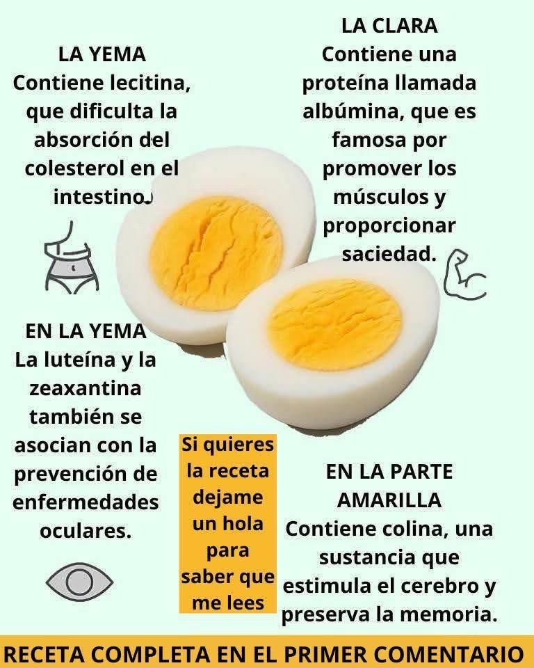 Beneficios para la salud de los huevos