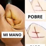 El Misterioso Secreto de las Manos: ¿Rico o Pobre?