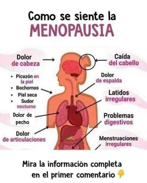 Diagrama de síntomas de la menopausia