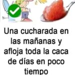 Una Cucharada Mágica para Mejorar tu Tránsito Intestinal Cada Mañana