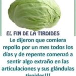 El Repollo y la Tiroides: Beneficios y Riesgos para tu Salud