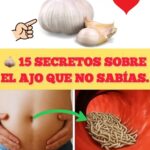 15 Secretos del Ajo: El Aliado Esencial para tu Salud