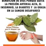El Laurel: La Bendición de Dios para Tu Salud