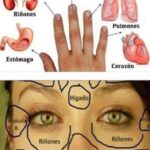 Conexiones del Cuerpo: Reflexología y Salud Integral
