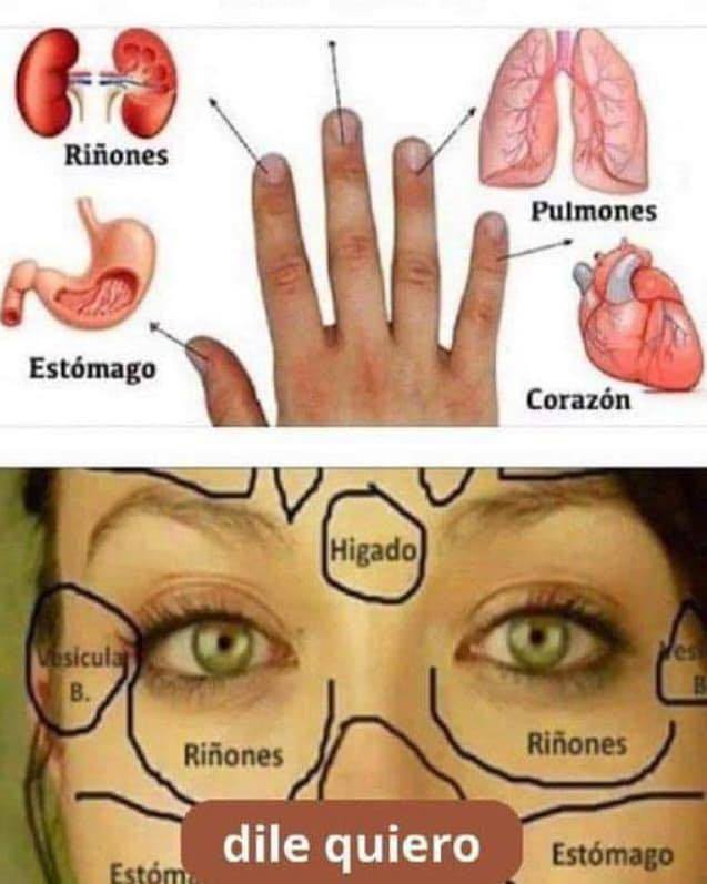 Diagrama de reflexología