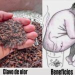 Los Poderes del Clavo de Olor: Beneficios y Usos Naturales