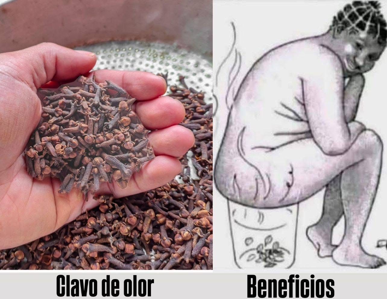 Clavos de Olor