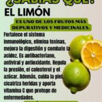 Limón Total: El Manual Definitivo para Transformar tu Hogar con un Solo Cítrico