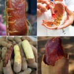 ¡Descubre los 5 Asombrosos Beneficios del Tamarindo para la Salud!