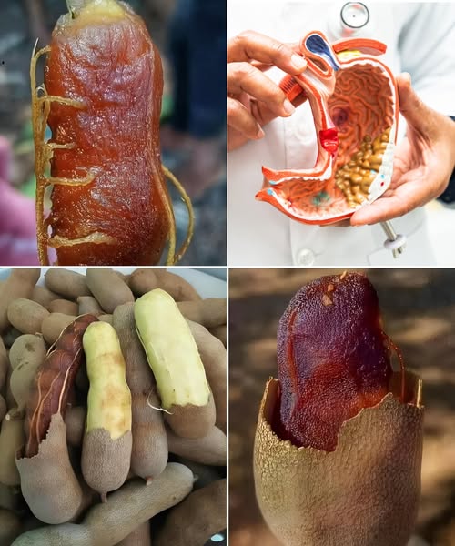 Vainas de tamarindo y su pulpa