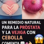 Cuida Tu Próstata y Vejiga: Remedios Naturales con Cebolla