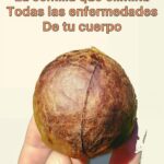Beneficios de la Semilla de Aguacate: La Superfood que no Conocías