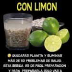 Beneficios y Receta de Agua de Avena con Limón