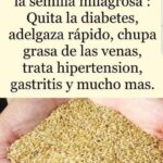 Semilla Milagrosa de Alpiste: Salud y Bienestar en Cada Grano