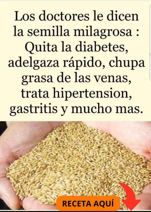 Semillas de alpiste