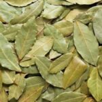Los Múltiples Beneficios de las Hojas de Laurel: Salud, Sabor y Más