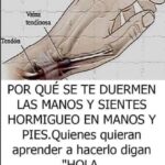 ¿Por Qué se Te Duermen las Manos? Causas y Remedios Naturales