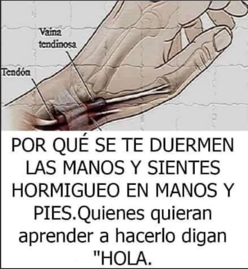 Diagrama de la vaina tendinosa y el tendón en la mano