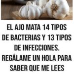 El Ajo: El Remedio Natural que Combate Bacterias e Infecciones