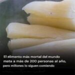 Yuca: El Alimento Delicioso y Potencialmente Peligroso
