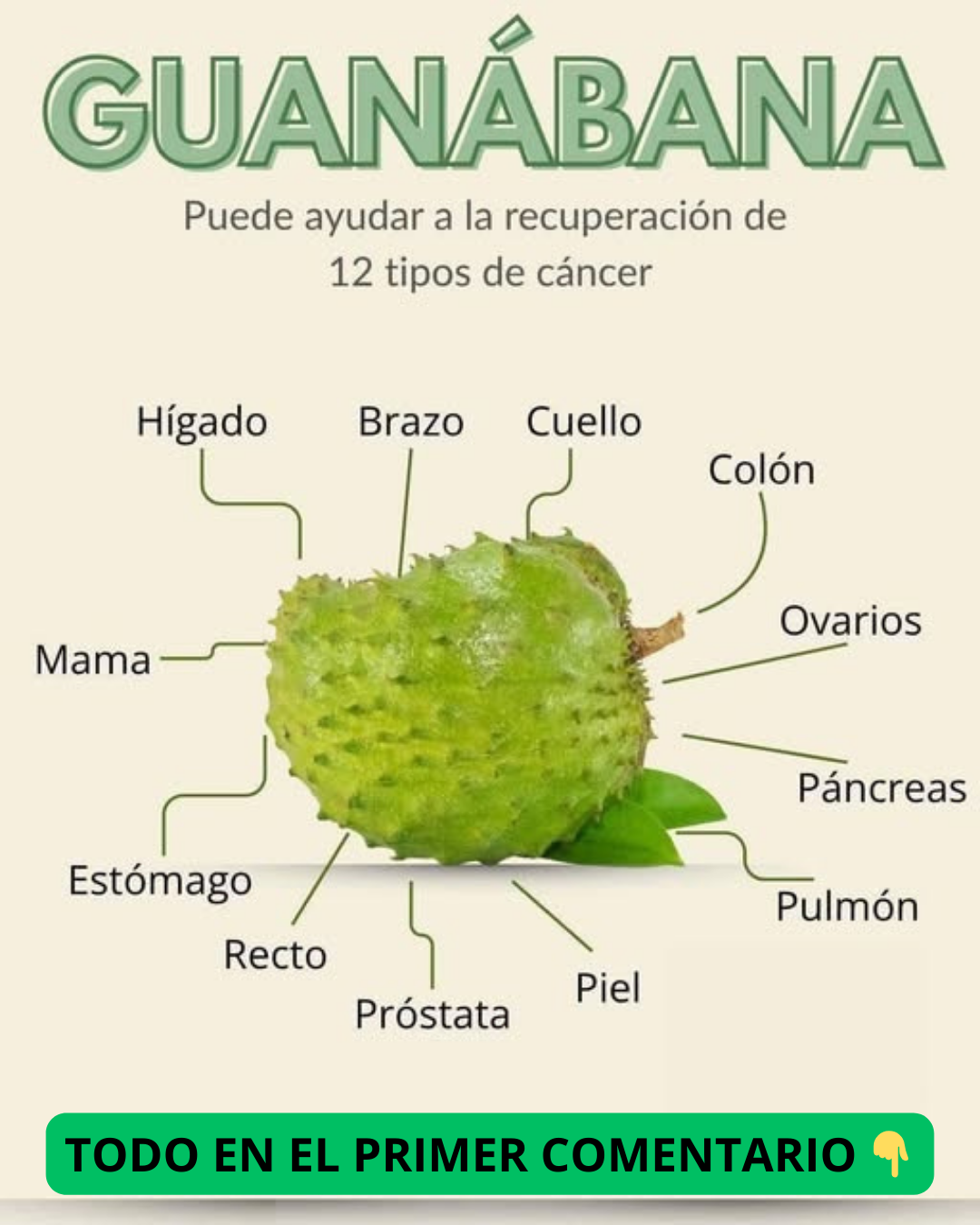 Guanábana