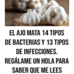 El Poder del Ajo: Un Aliado Natural contra Infecciones y Bacterias