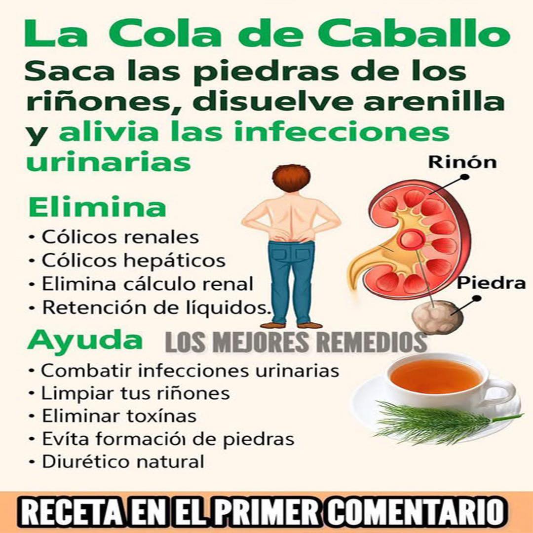 Cola de Caballo