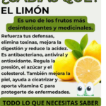El Poder del Limón: Un Fruto Refrescante y Medicinal para Tu Salud