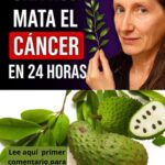La Guanábana y su Mito en la Salud: ¿Puede Realmente Curar el Cáncer?
