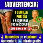 10 Semillas Milagrosas para Fortalecer Huesos y Músculos en Adultos Mayores