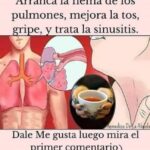 Remedios Naturales para la Flema y la Salud Respiratoria