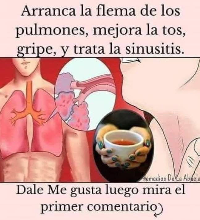 Sistema Respiratorio