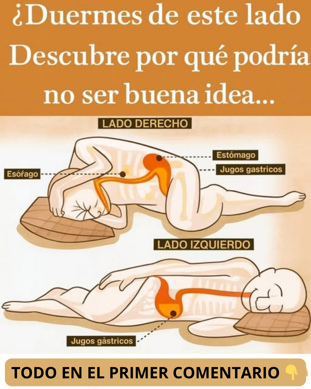 Postura al dormir y salud digestiva