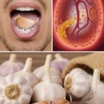 Los Increíbles Beneficios de Comer Ajo Crudo Diariamente