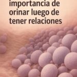 La Importancia de Orinar Después de Tener Relaciones: Salud y Hábitos Post-Relación