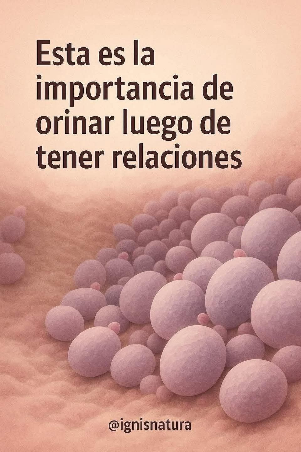 La importancia de orinar luego de tener relaciones