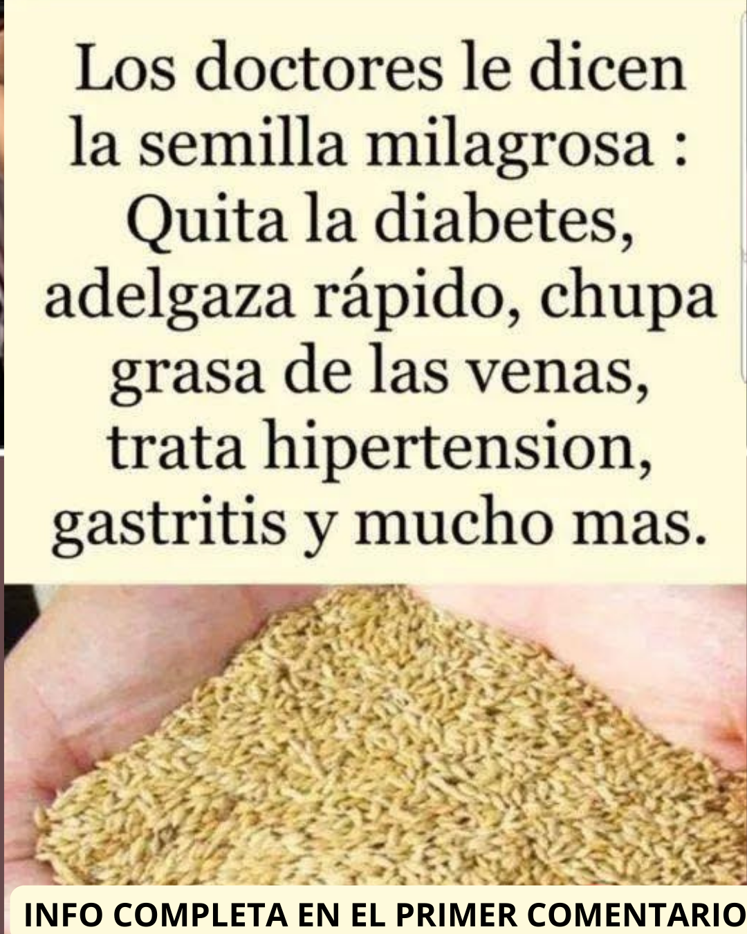 Semilla Milagrosa