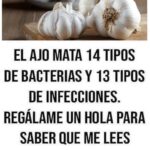 El Ajo: Un poderoso aliado natural para tu salud