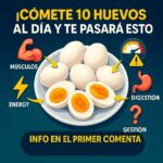 Me Comí 10 Huevos al Día Durante 7 Días: Beneficios Inesperados